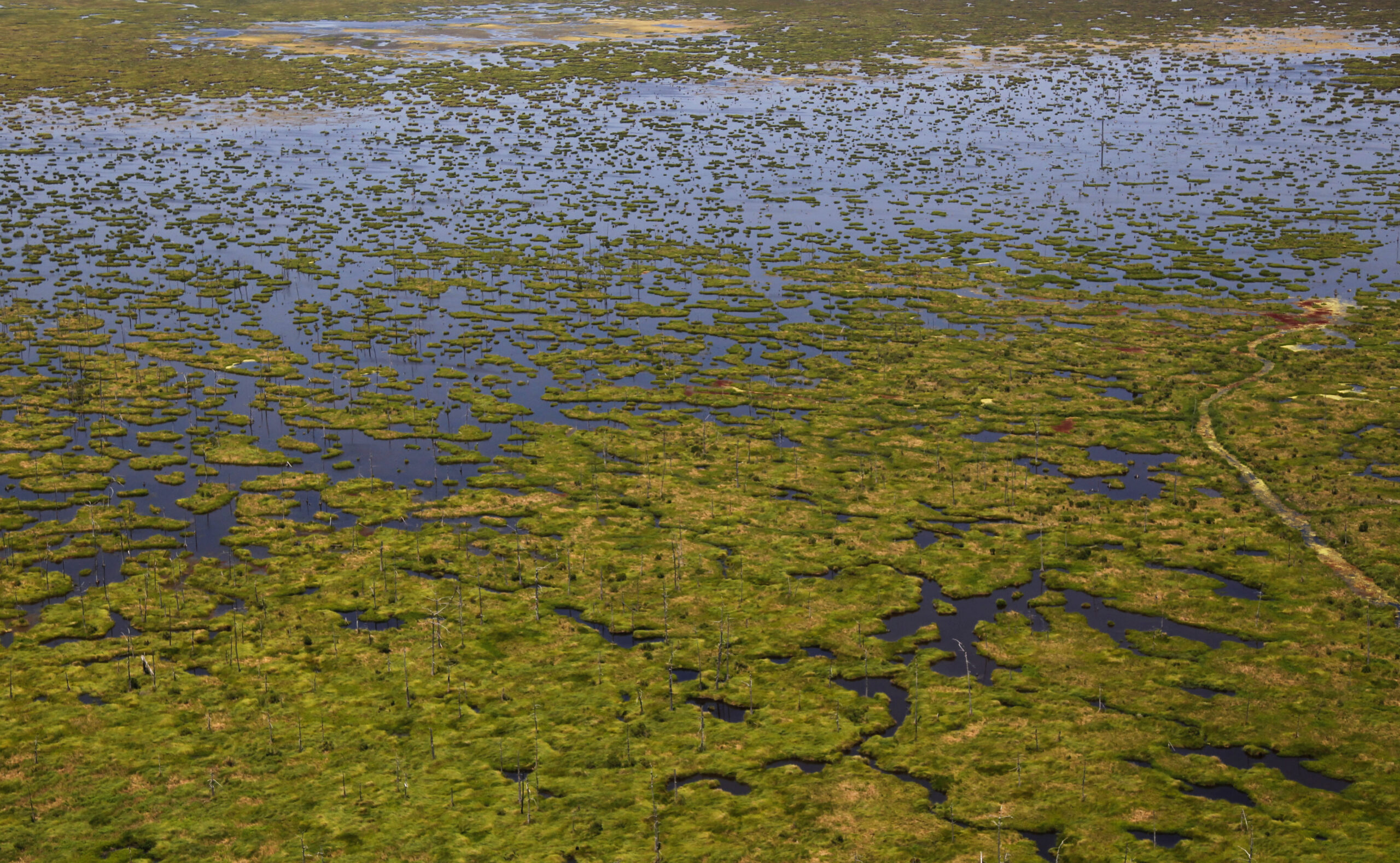 Proposed $2B Louisiana project could restore wetlands