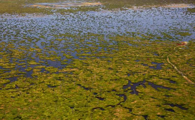 Proposed $2B Louisiana project could restore wetlands