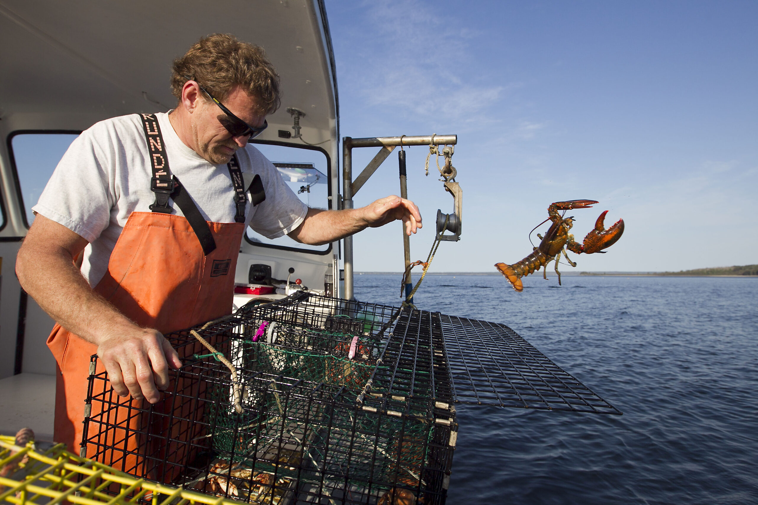 Maine lobstermen score appeals court win in challenge to ‘crippling regulations’