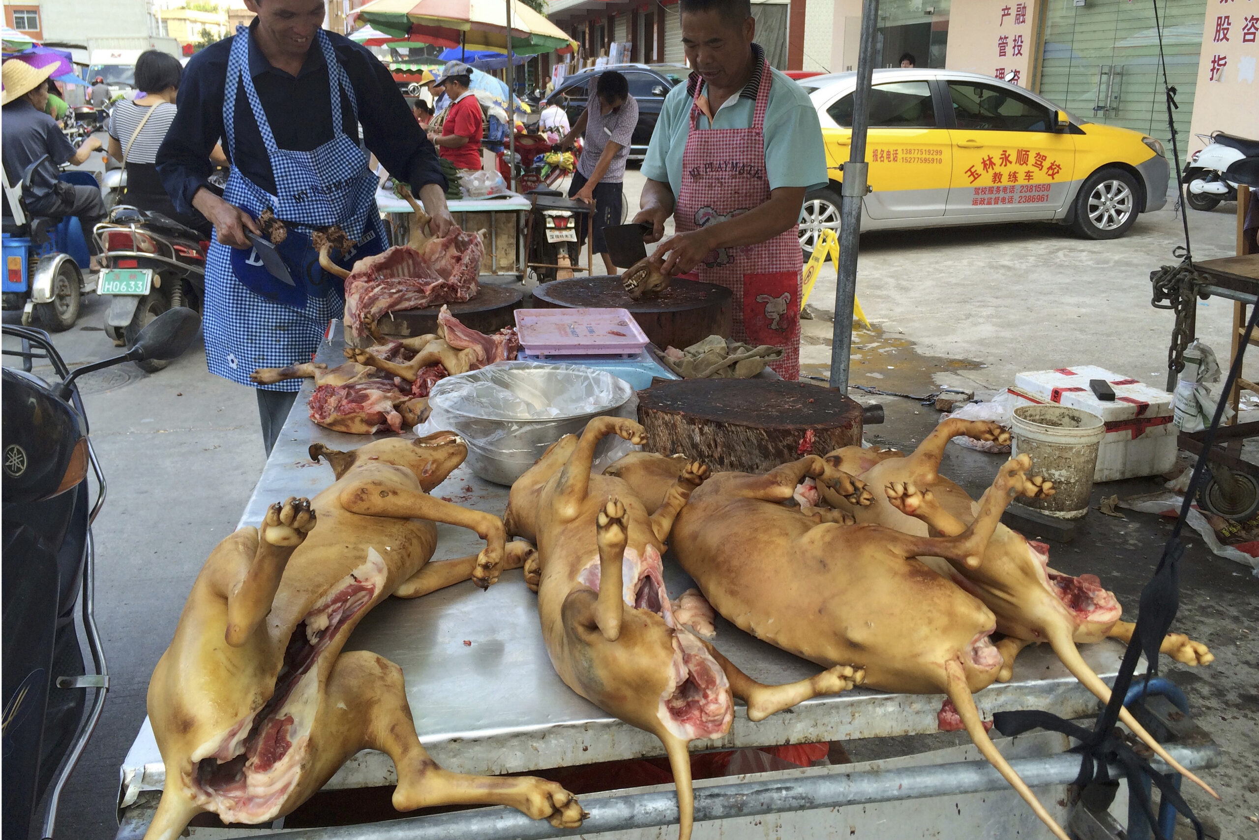 Taxpayers shouldn’t be paying China to make them sick
