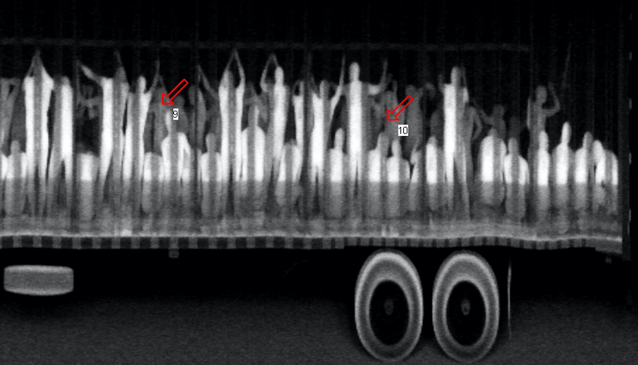 Feds crack down on US citizens helping gangs smuggle migrants