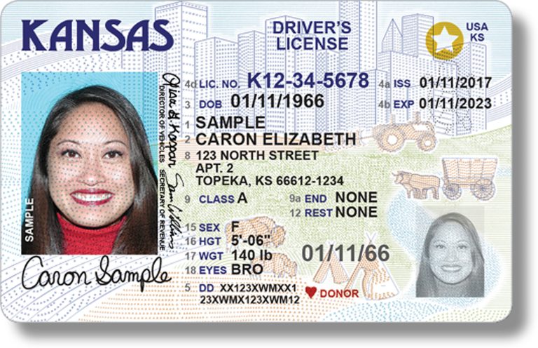 This photo provided by the Kansas Department of Revenue shows Kansas's new driver's license design meant to comply with federal identification requirements for airport security purposes.