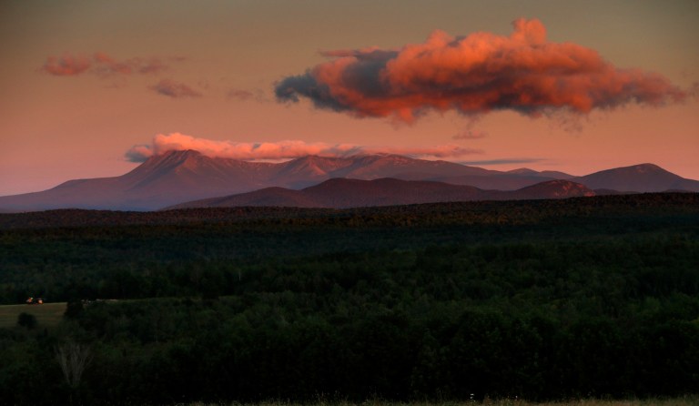 Will Biden’s Interior Department nominee put endangered species at risk?