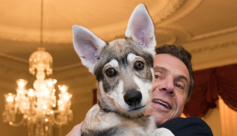 New York Gov. Andrew Cuomo holds his new dog, "Captain," during a conference of mayors in Albany, New York, last February.