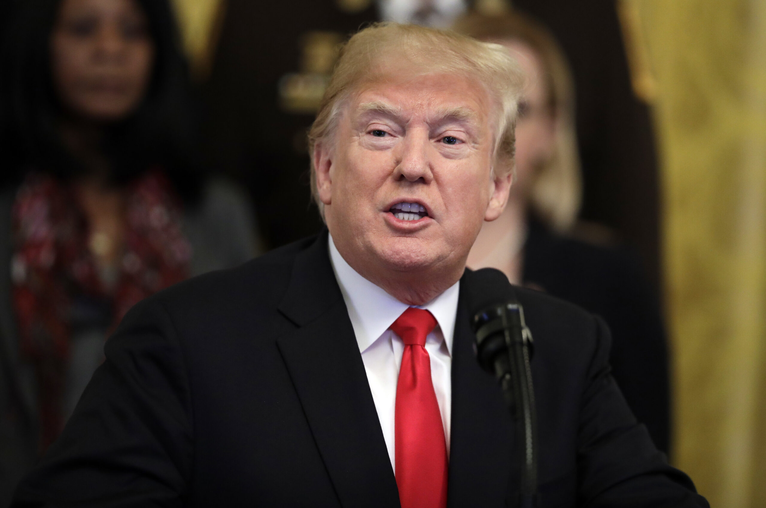 Hunter Biden plea: Trump allies gloat over Hunter pleading guilty to federal charges