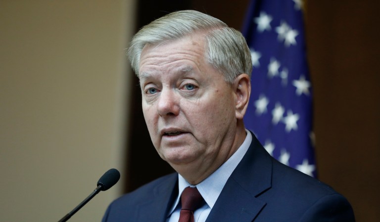 ‘Right to his own opinion’: Lindsey Graham brushes off Lou Dobbs criticism