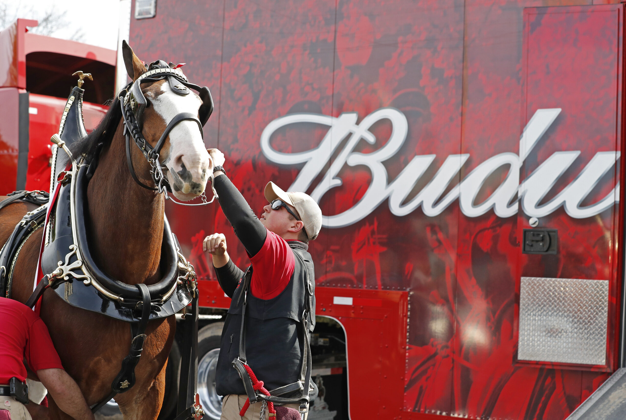 SEE IT: Conservatives bash patriotic Budweiser ad as too little too late