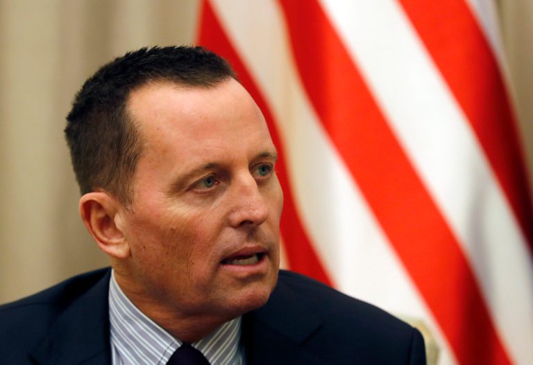 Former acting intelligence chief Richard Grenell ripped the Washington swamp in an interview with Mark Levin.
