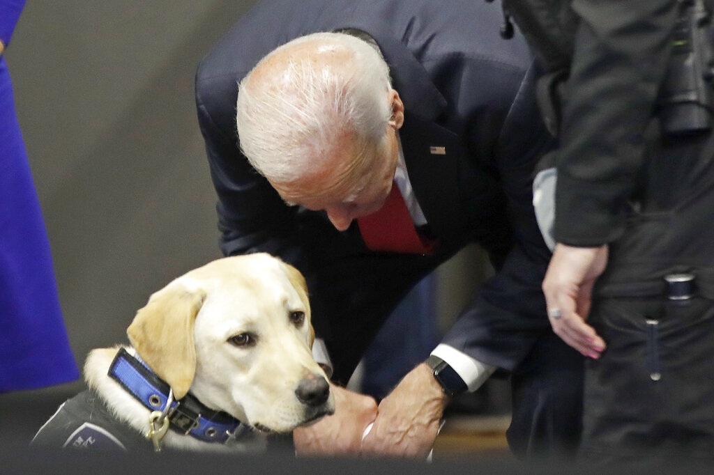 GOP: Democrats choose Fido and Muffy over inflation-shocked public
