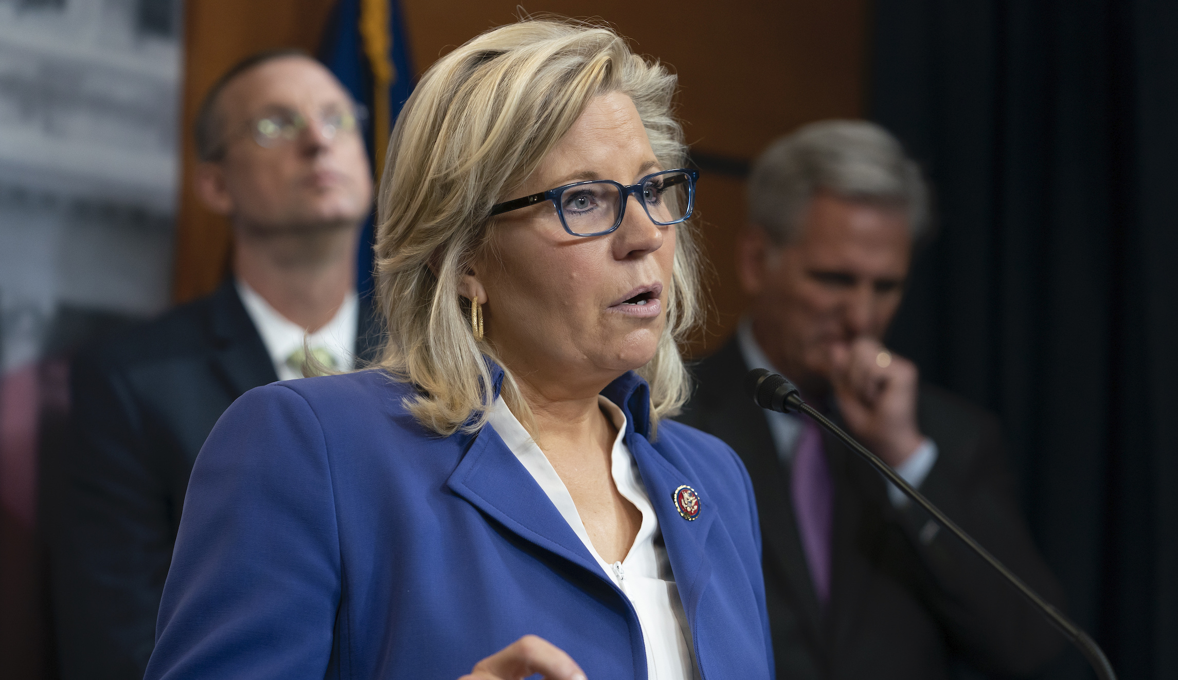 ‘All Americans should be thanking him’: Liz Cheney praises Fauci’s ‘expertise’