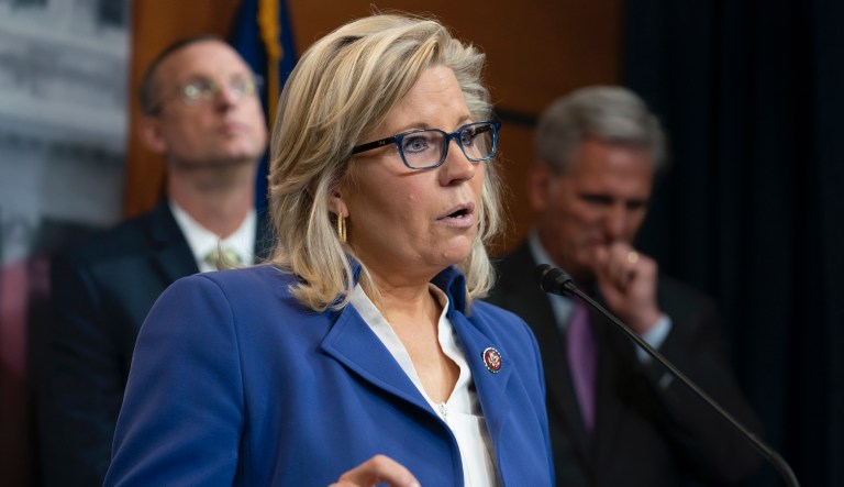 Liz Cheney jabs Democratic male senator for ‘explaining what women need’ in Biden endorsement