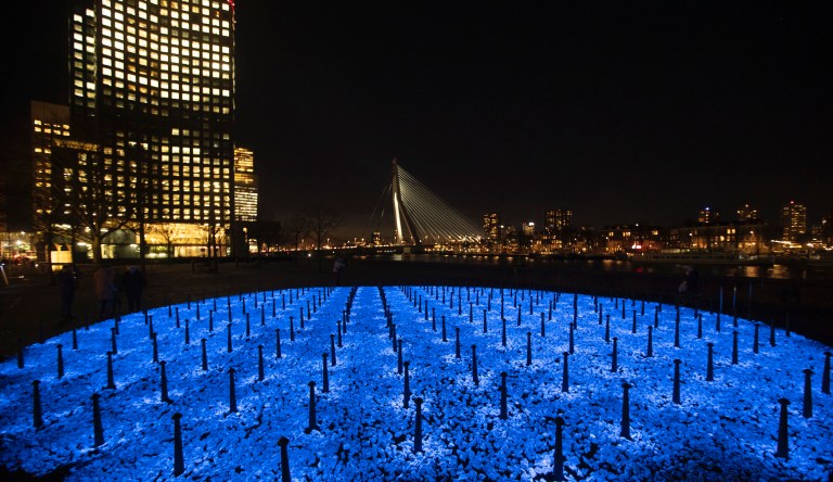 Anne Frank, and why not to mistake Typhus rats for Nazis