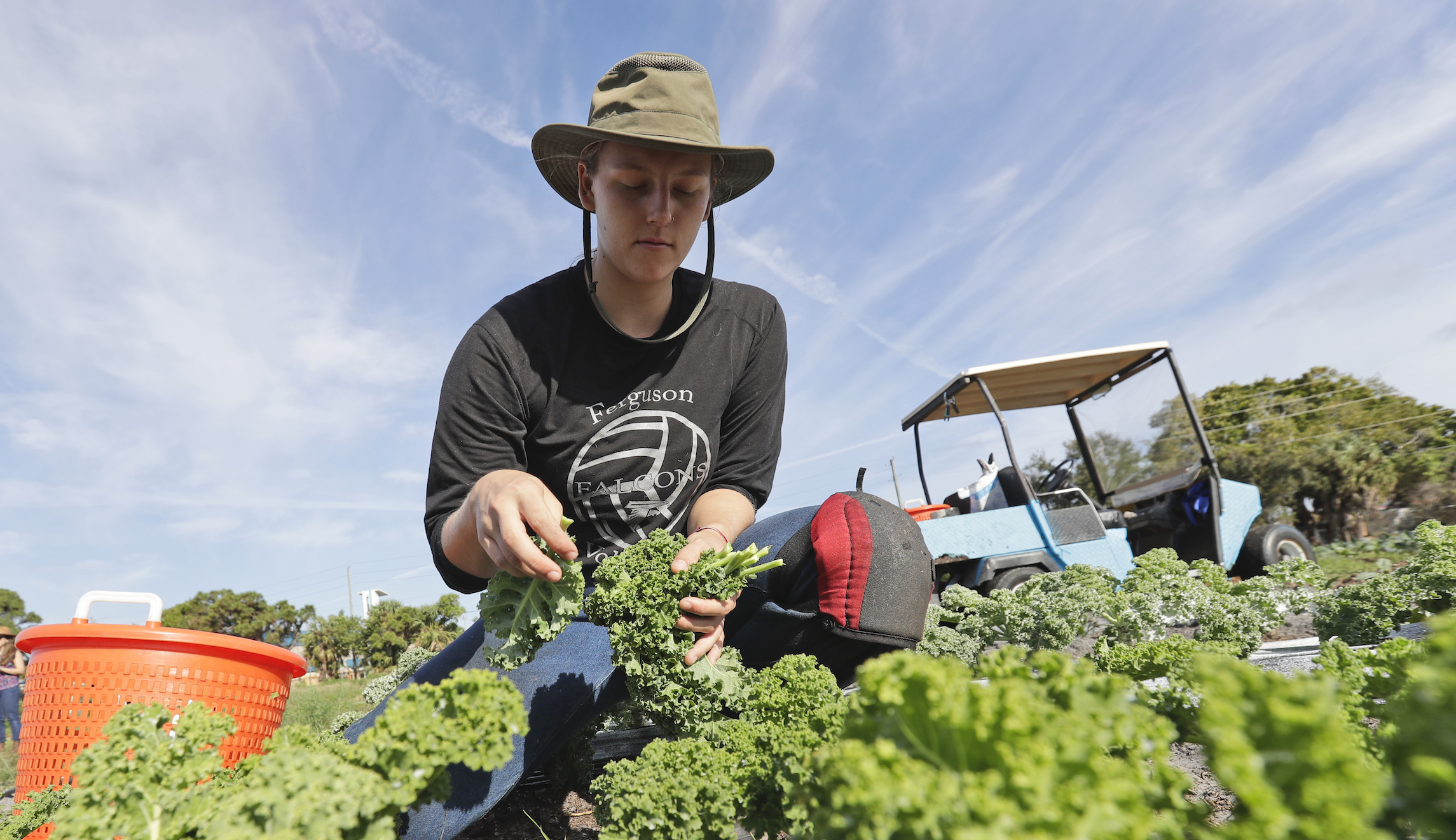 Farmers are natural climate solution champions