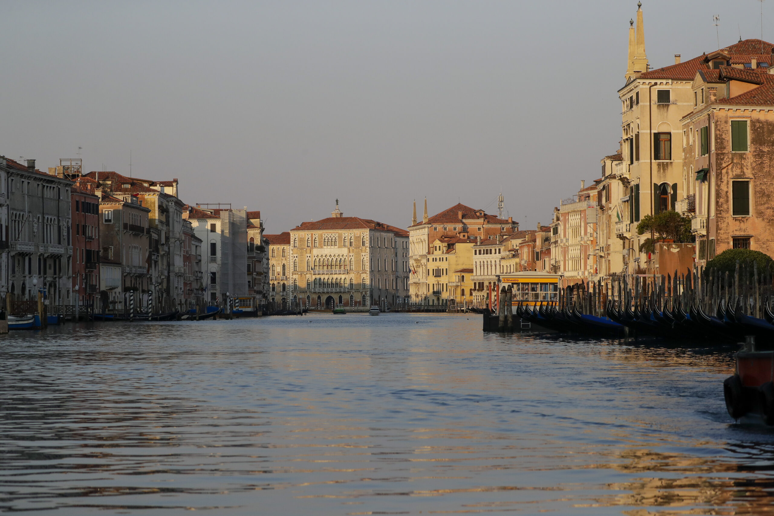 Making waves: Surfers caught cruising down Venice canal