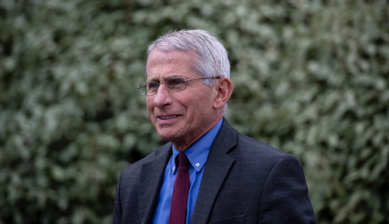 ‘It isn’t as simple as that’: Fauci pushes back on coronavirus comparison of US and South Korea
