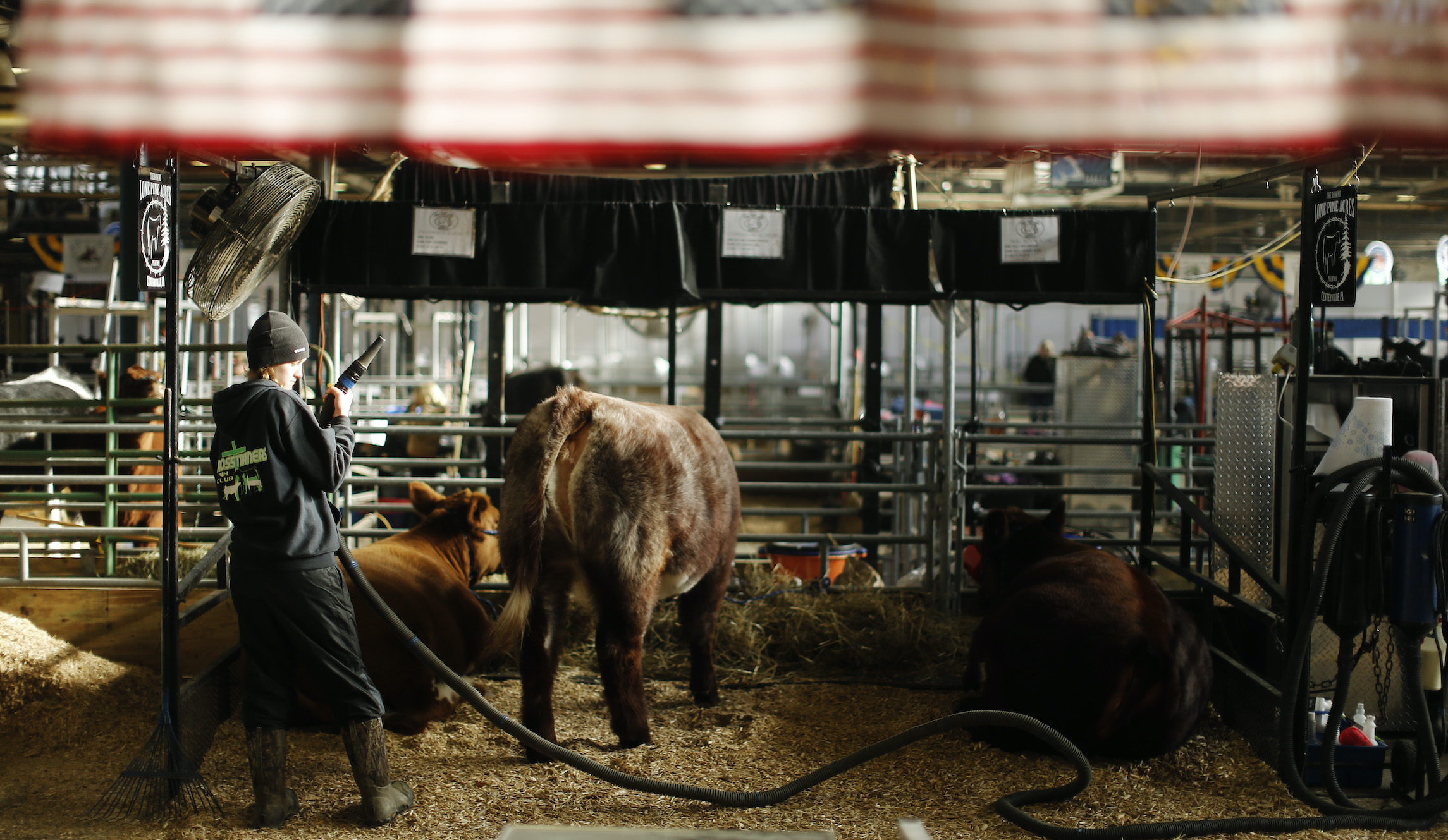 Pennsylvania Farm Show to be closed to in-person events, take place as ‘virtual show’