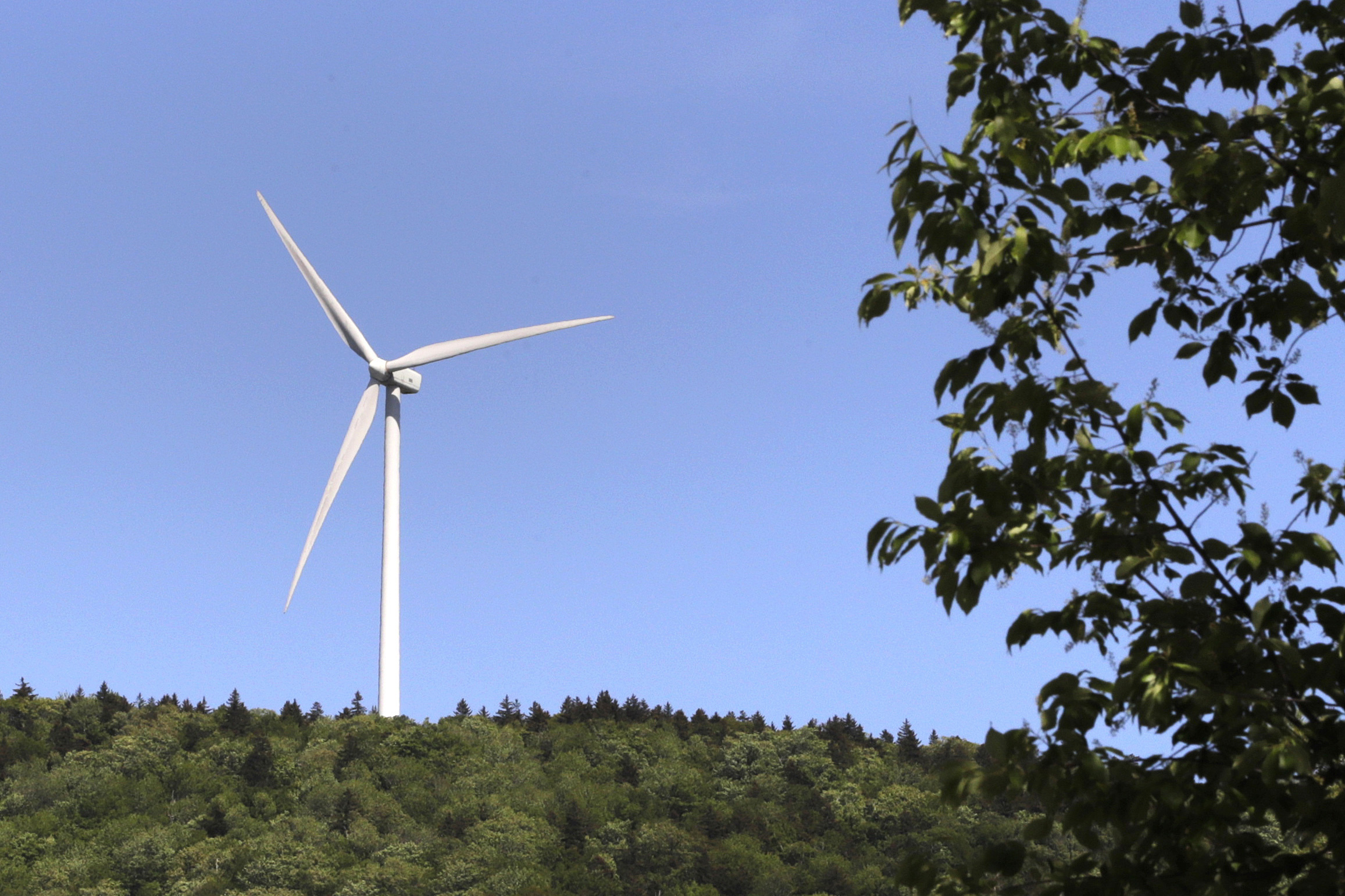 Industry layoffs threaten the green energy fairy tale