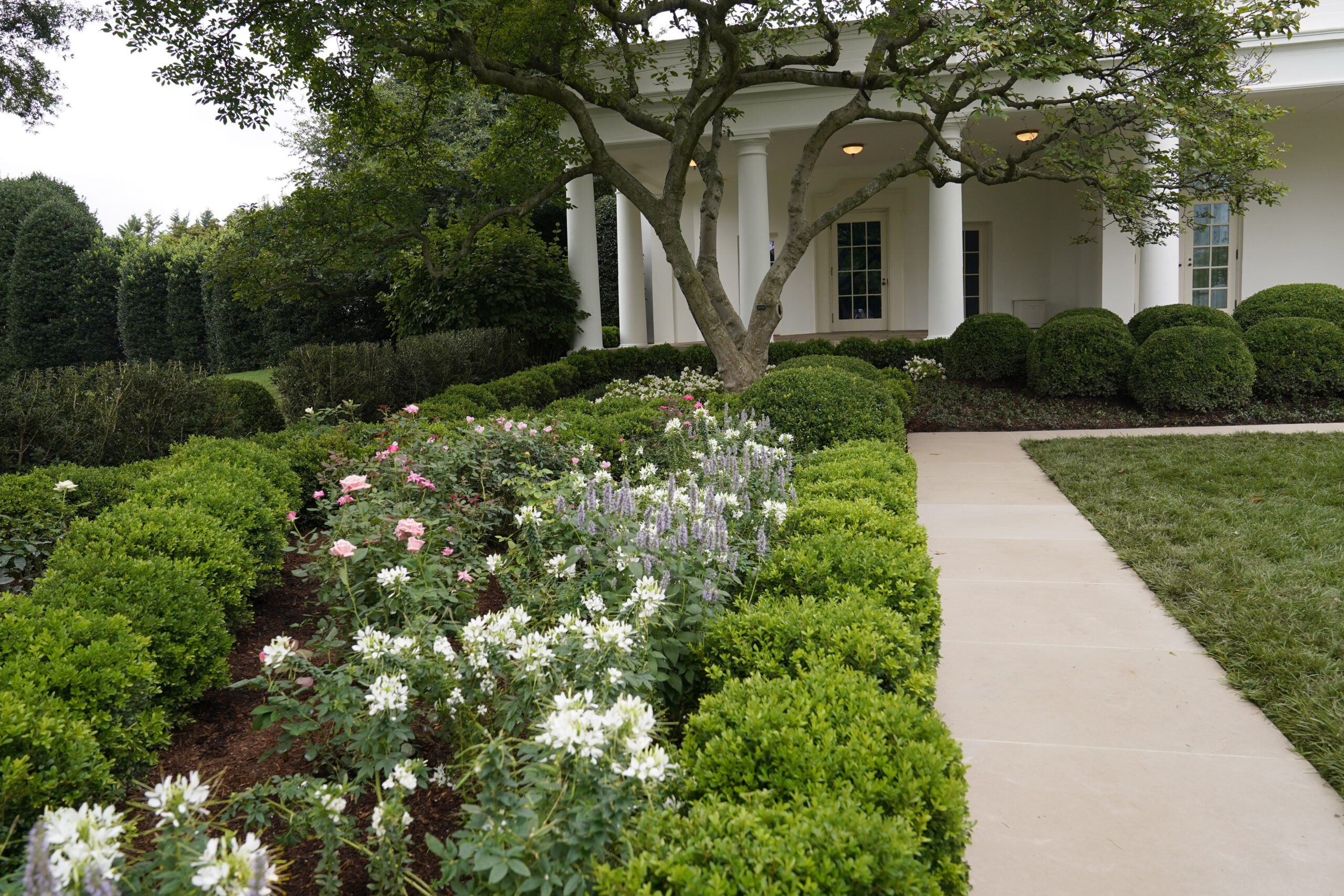 ‘Entirely devoid of color or joy’: Liberals attack Melania Trump’s renovations of Rose Garden