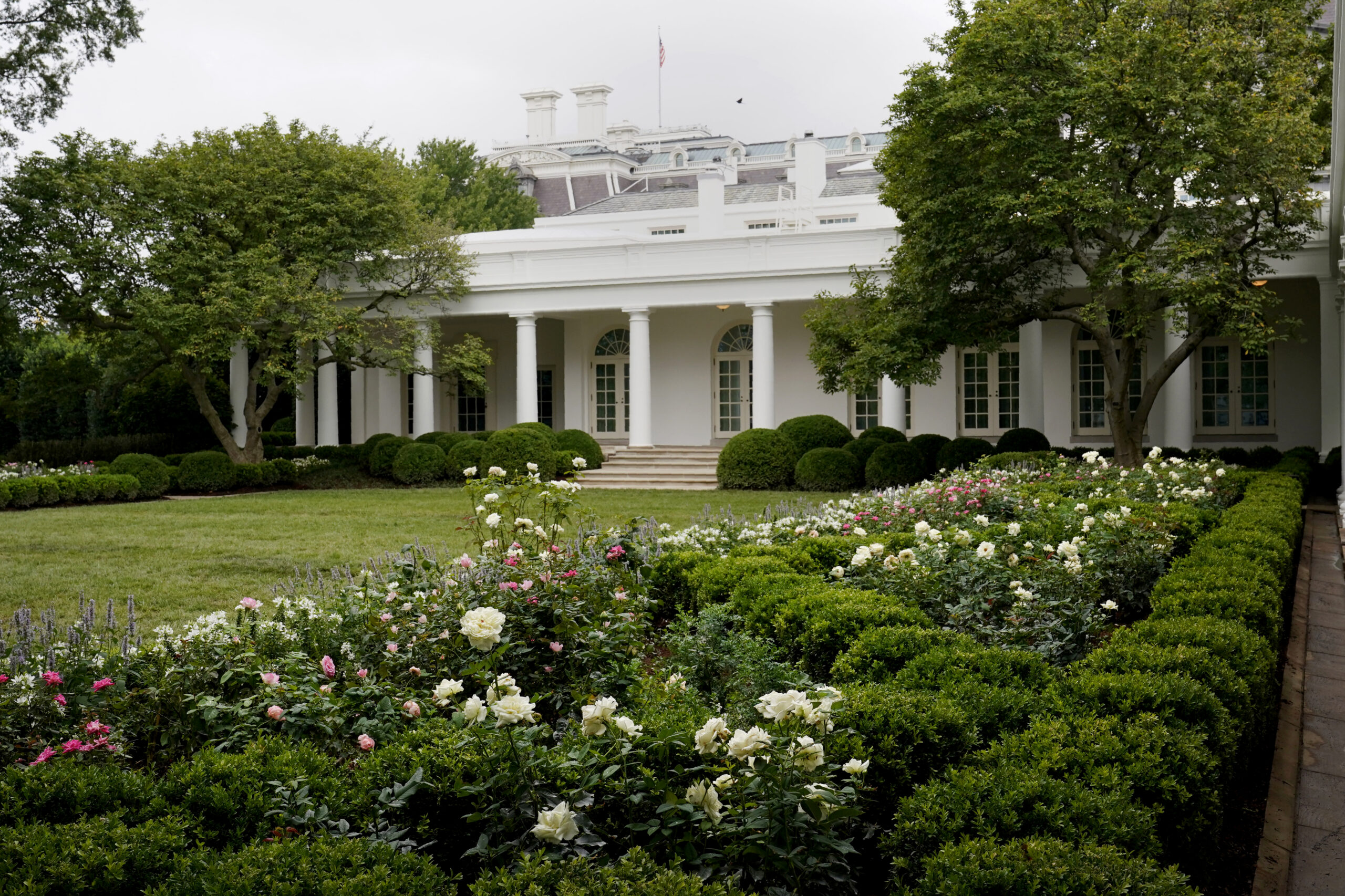 Worried about the country? Try tending your garden