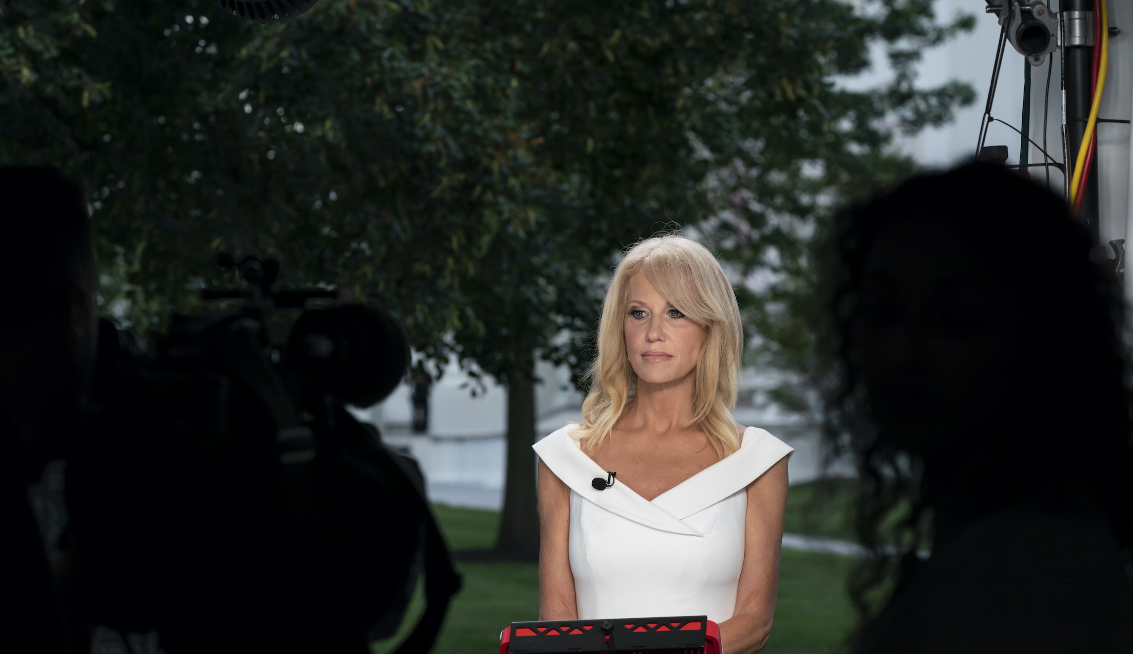 Kellyanne Conway calls for Trump to host ‘domestic peace talks’ at Camp David to help heal racial tension