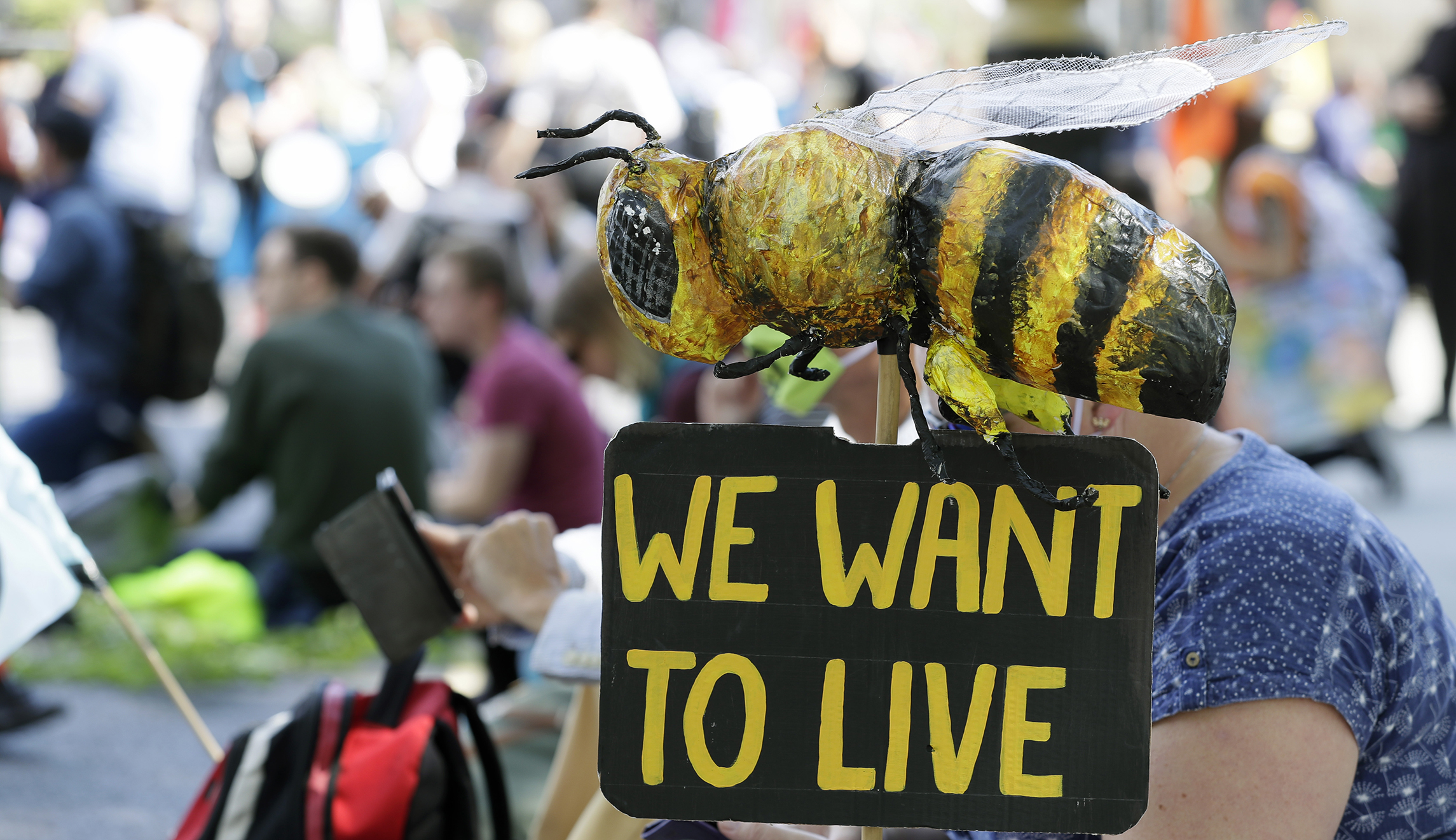Don’t believe the hype about bees