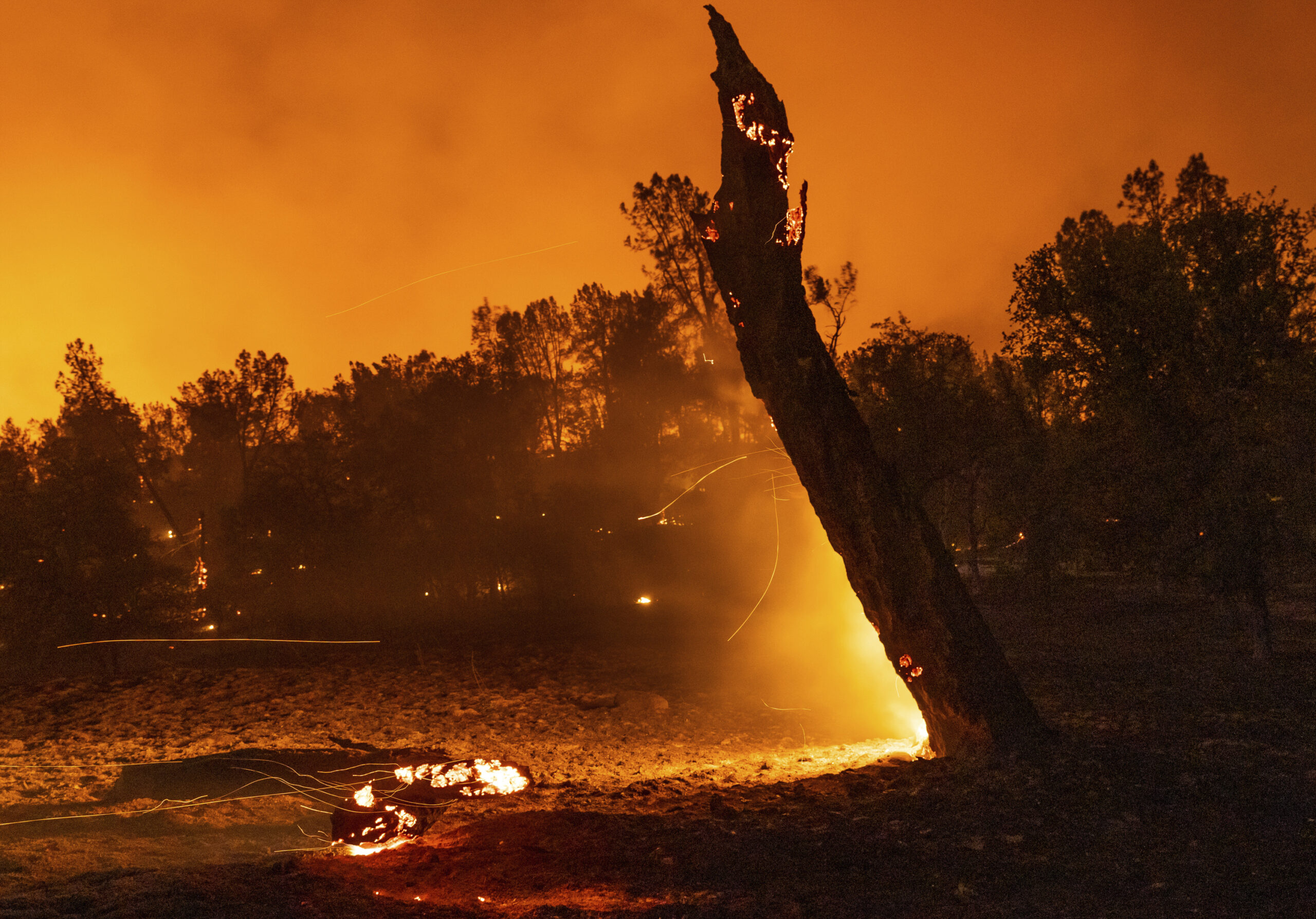 District attorney brings charges against California utility over fatal 2020 Zogg fire