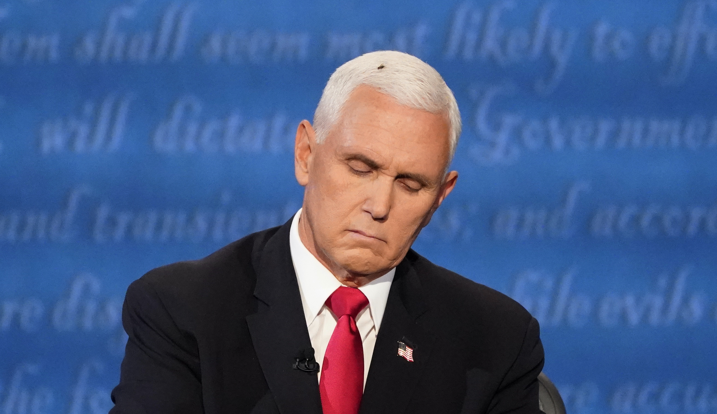 Pence laughs off post-debate buzz, says his children pointed out he had bug on his head