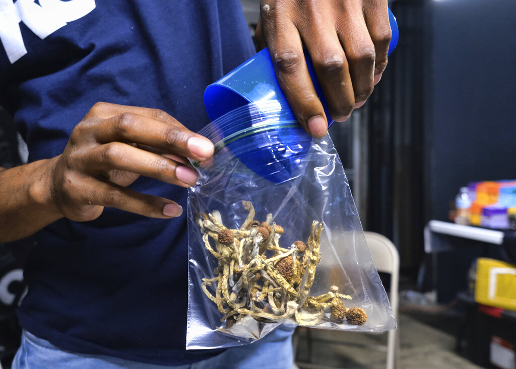 Colorado to vote on decriminalizing psychedelic mushrooms