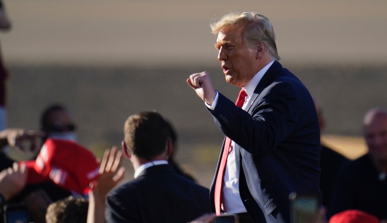 ‘Amnesty, abortion, and acid’: Why negative campaigning works