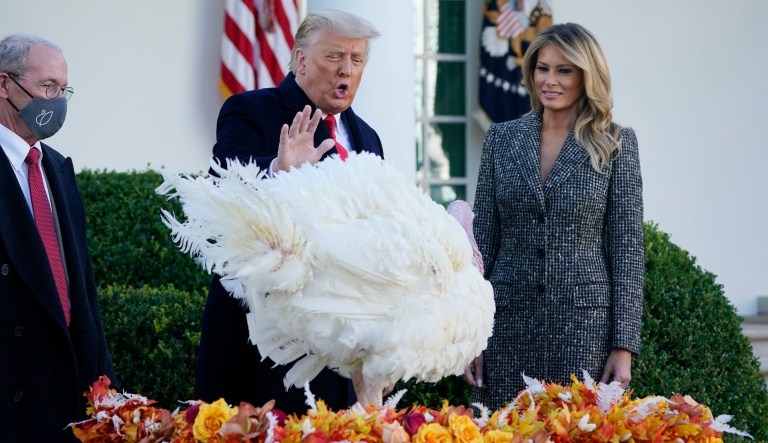 Trump ponders more pardons after Flynn