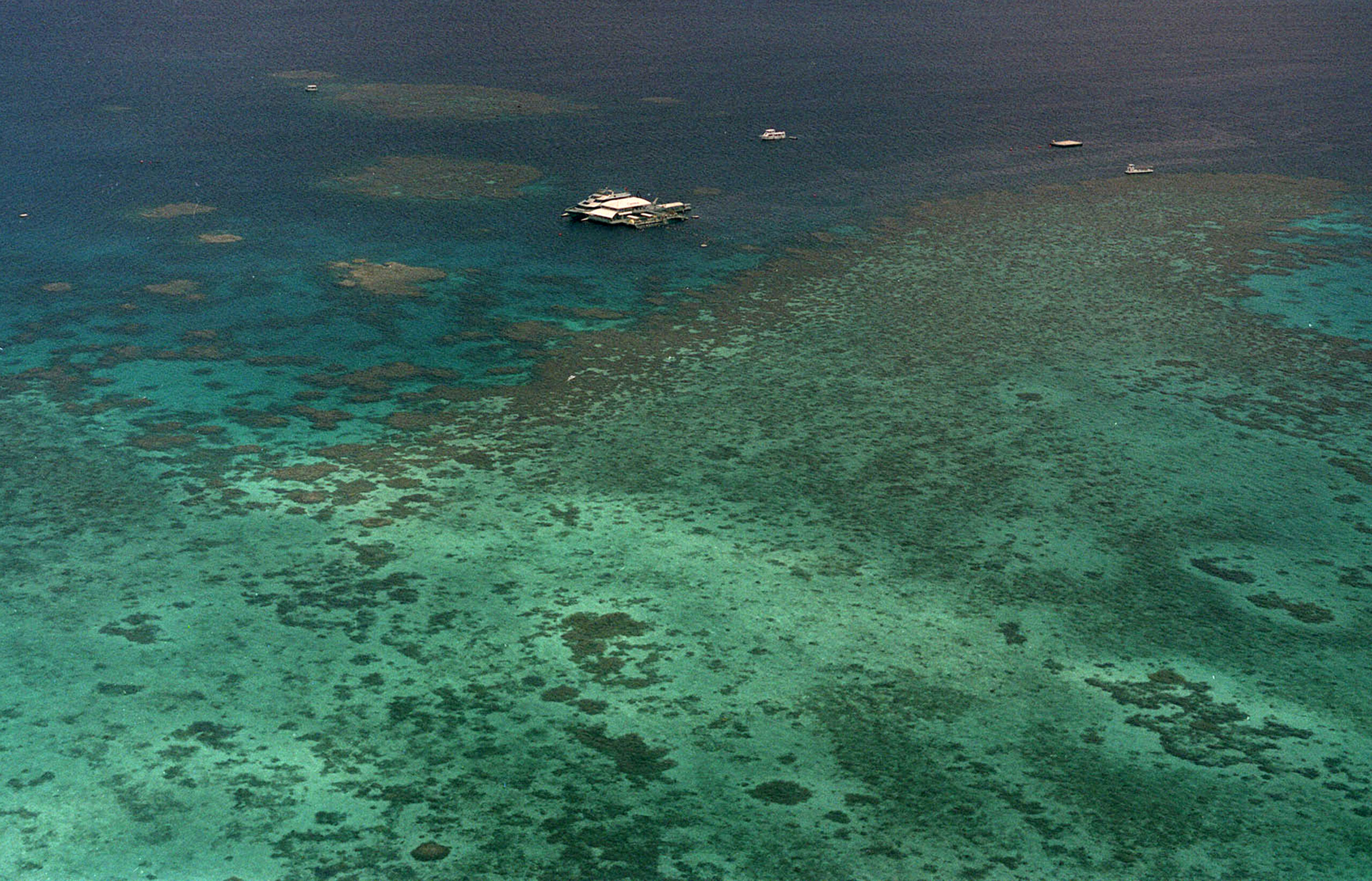Great Barrier Reef status escalated to ‘critical’ in international report