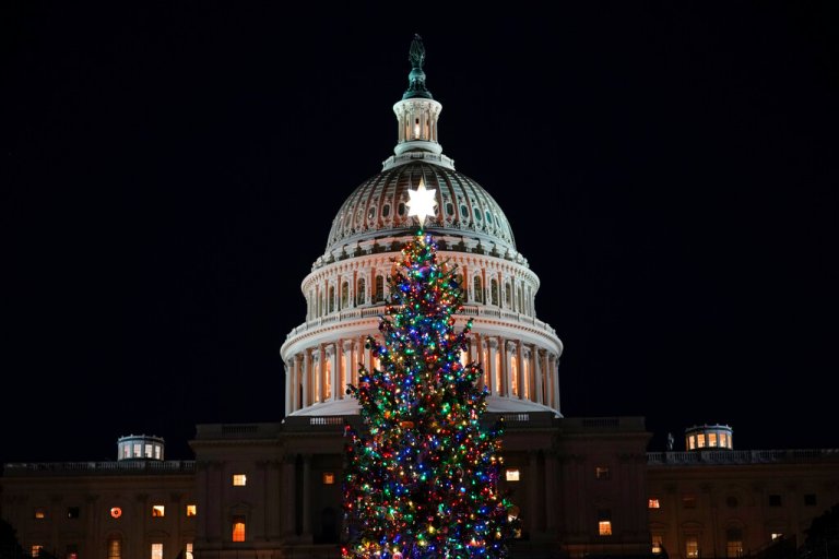 The 2020 U.S. Capitol Christmas Tree is lit after a ceremony on the West Front of Capitol Hill in Washington, with House Speaker Nancy Pelosi of Calif., Wednesday, Dec. 2, 2020. This year's tree is a 55-foot tall Engelmann spruce from Western Colorado and is decorated with handmade ornaments made by the people of Colorado. The Capitol Christmas Tree has been a tradition since 1964. (AP Photo/Susan Walsh)