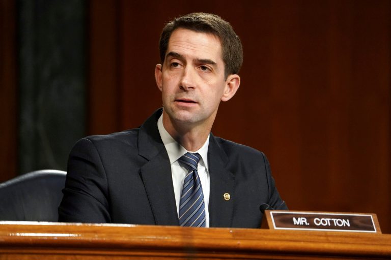 Conservatives eye-roll DNC chairman charging GOP Sen. Tom Cotton is ‘maggot-infested’