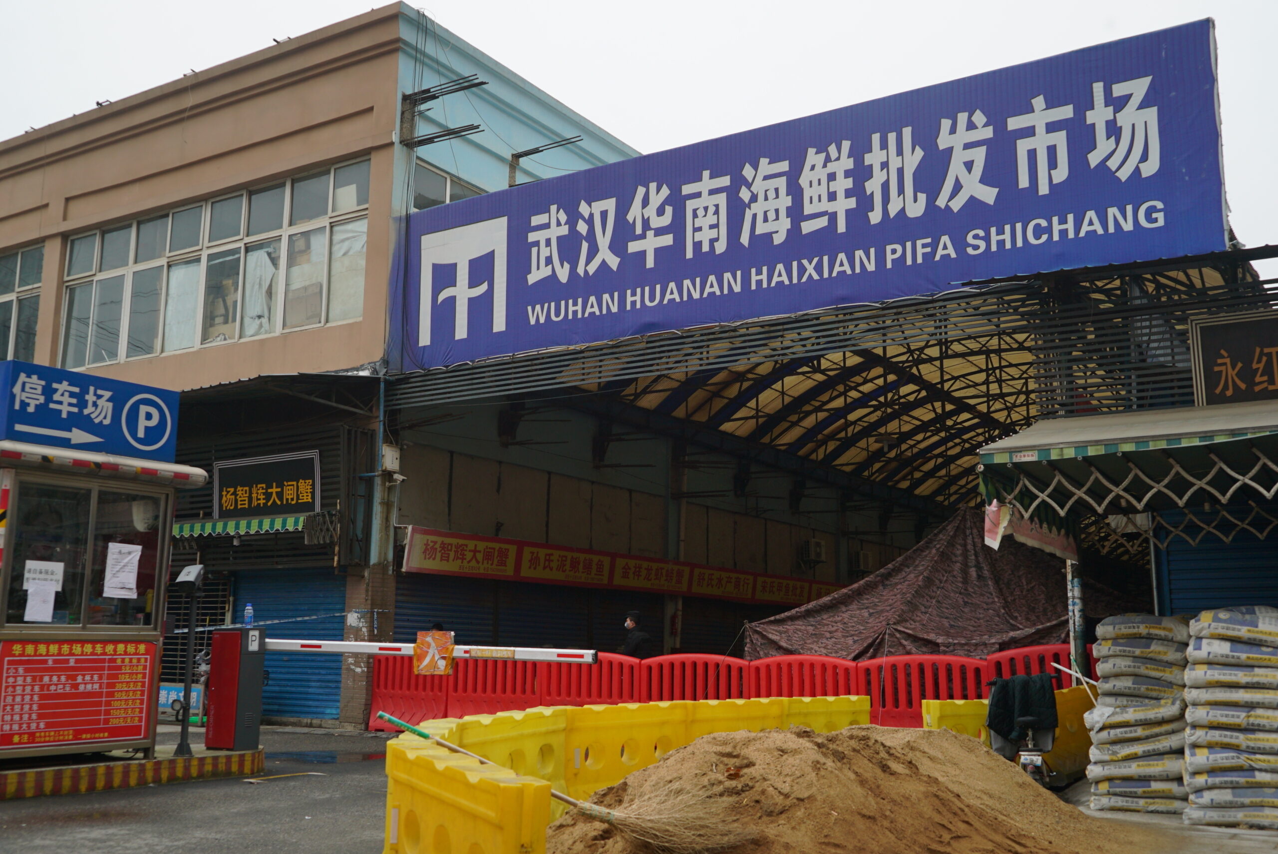 ‘Pimping spin, not science’: Skeptics question COVID-19 starting at wet market