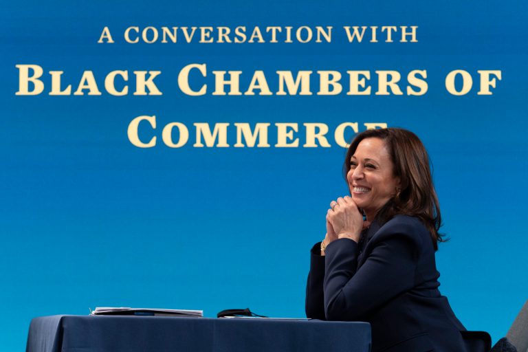 Vice President Kamala HarrisÂ at a virtual roundtable with participants from Black Chambers of Commerce across the country to discuss the American Rescue Plan, Friday.