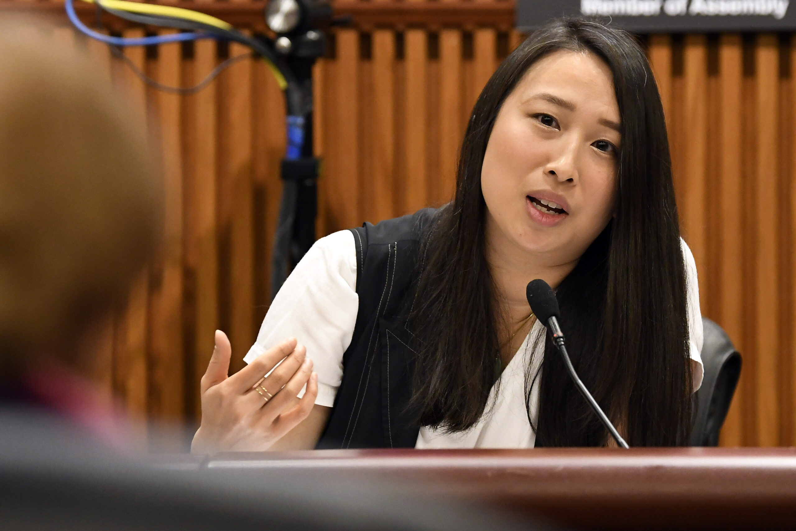 New York City Democratic congressional candidate backs anti-Israel BDS movement