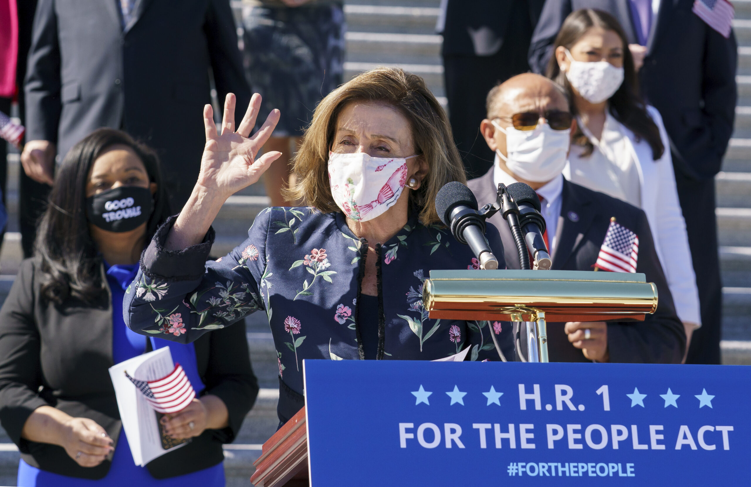Voters demand photo ID and reject weak Democratic substitute
