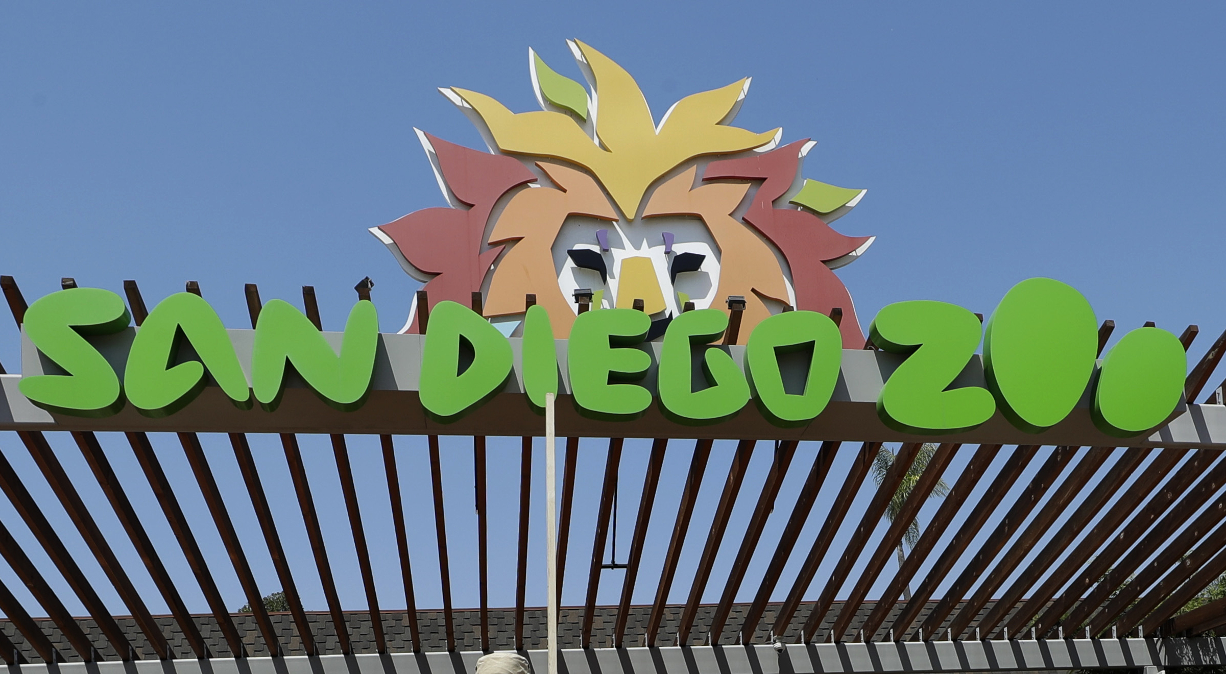Father arrested after allegedly bringing child into the elephant habitat at the San Diego Zoo