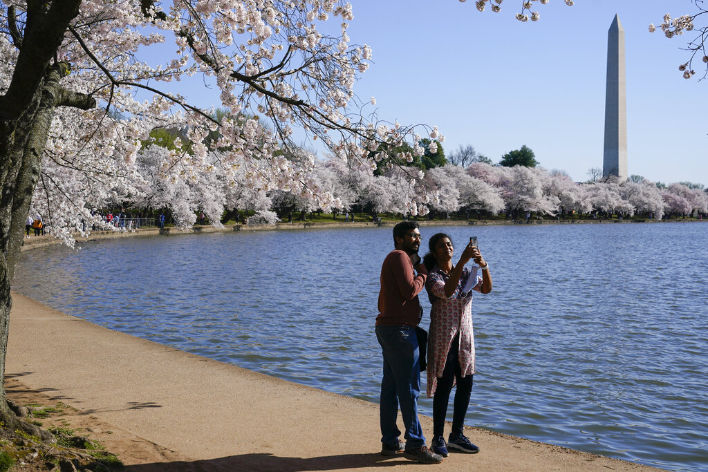 Anti-Instagram: BeReal photo-sharing app surges to No.1