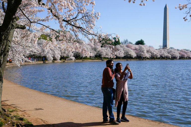 Anti-Instagram: BeReal photo-sharing app surges to No.1