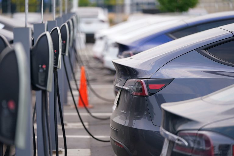 ‘May not make dinner’: Video shows huge line of electric vehicles waiting to charge