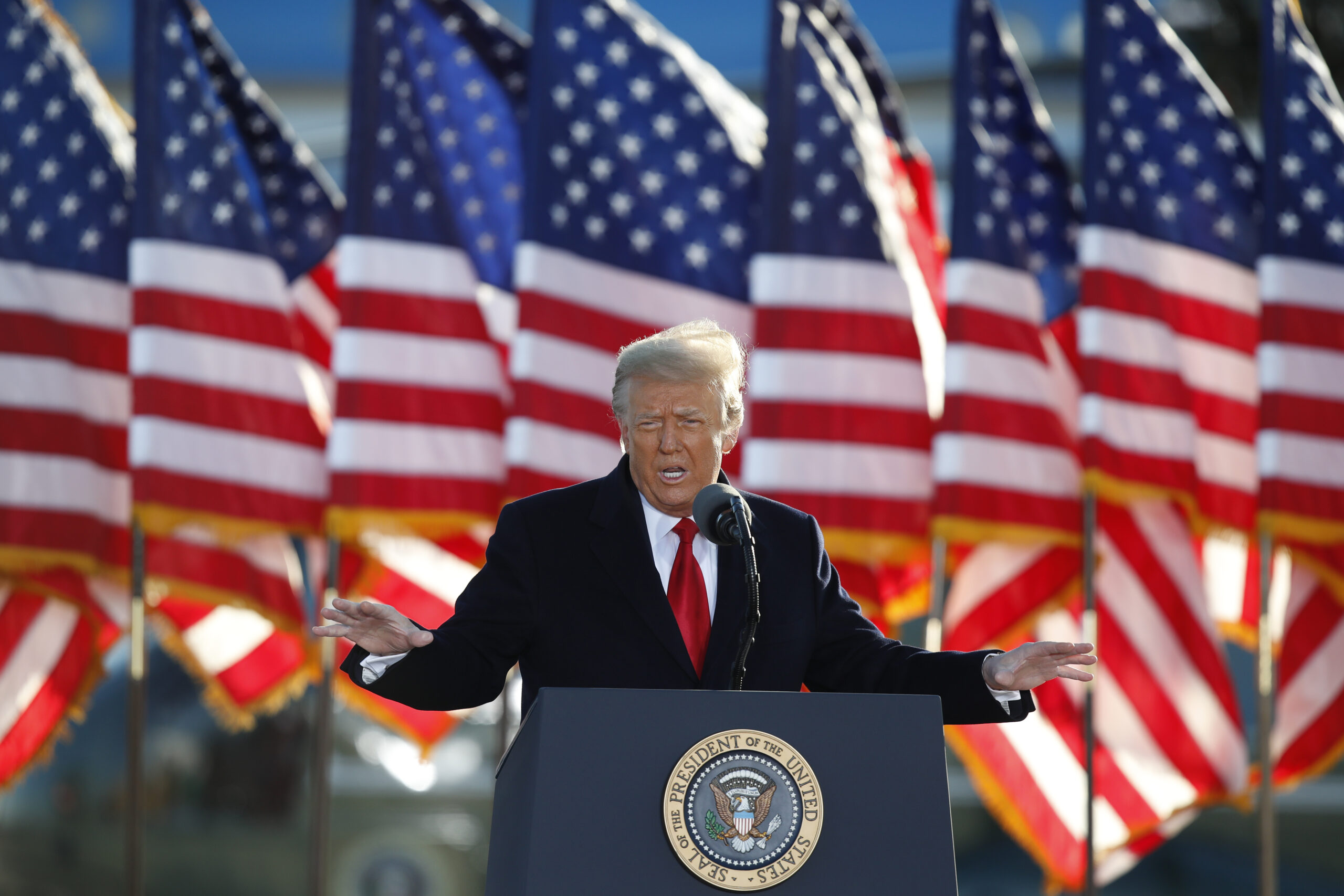 Trump renews ballot fraud claims and dubs 2020 election results ‘THE BIG LIE!’