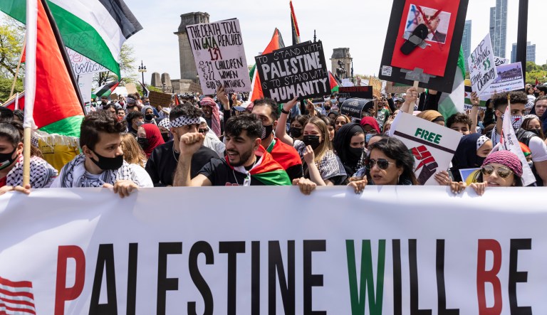 Many Democrats who backed Palestinians just ‘playing the game’ ahead of midterm elections, strategists say