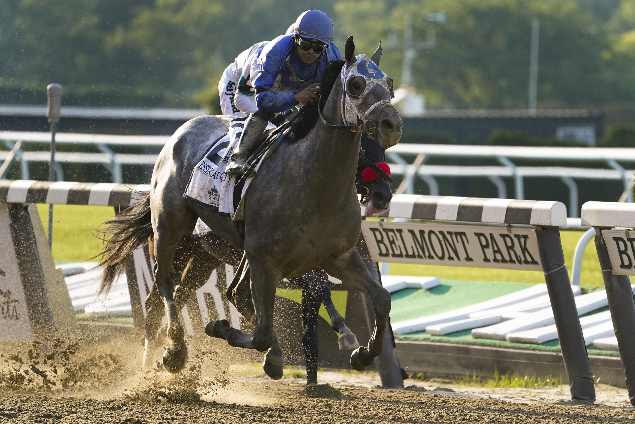Essential Quality wins Belmont Stakes