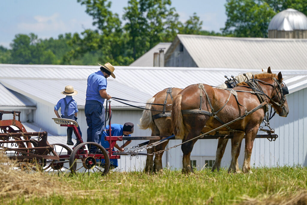 Twin sisters accused of swapping roles in fatal Amish buggy crash