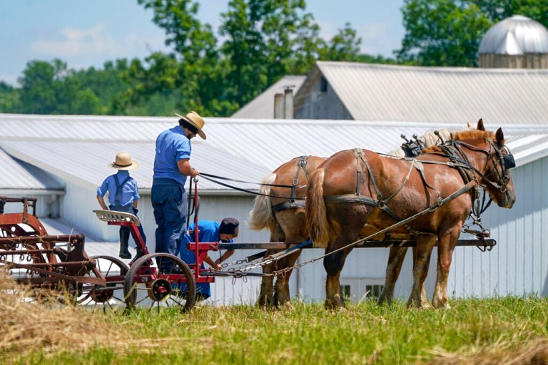FILE - People in Amish country in Pulaski, Pa.