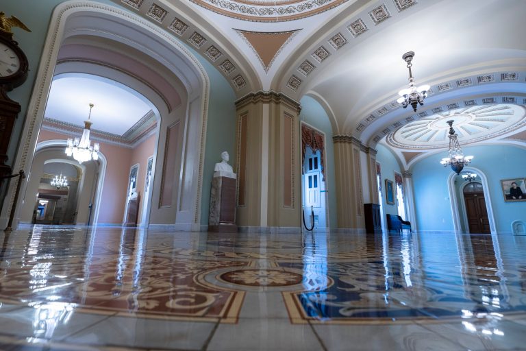 Former Capitol Hill staffer pleads guilty to child pornography charges