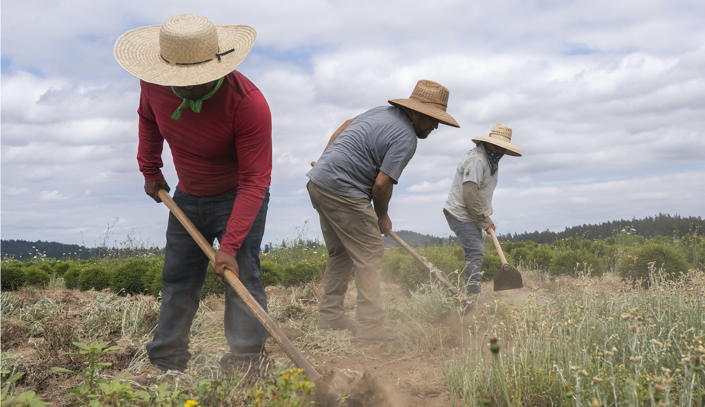 Biden’s ‘land swap tax’ is another unfair hit to family farmers