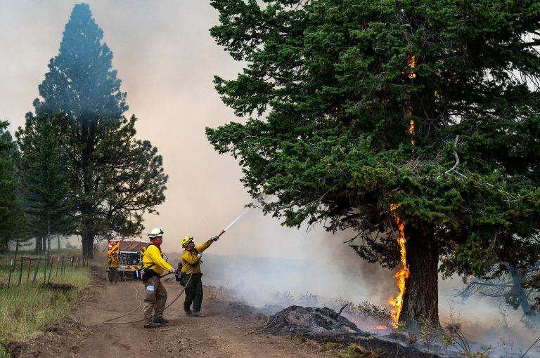 Washington state farmers sweat out wildfire season as state issues drought emergency