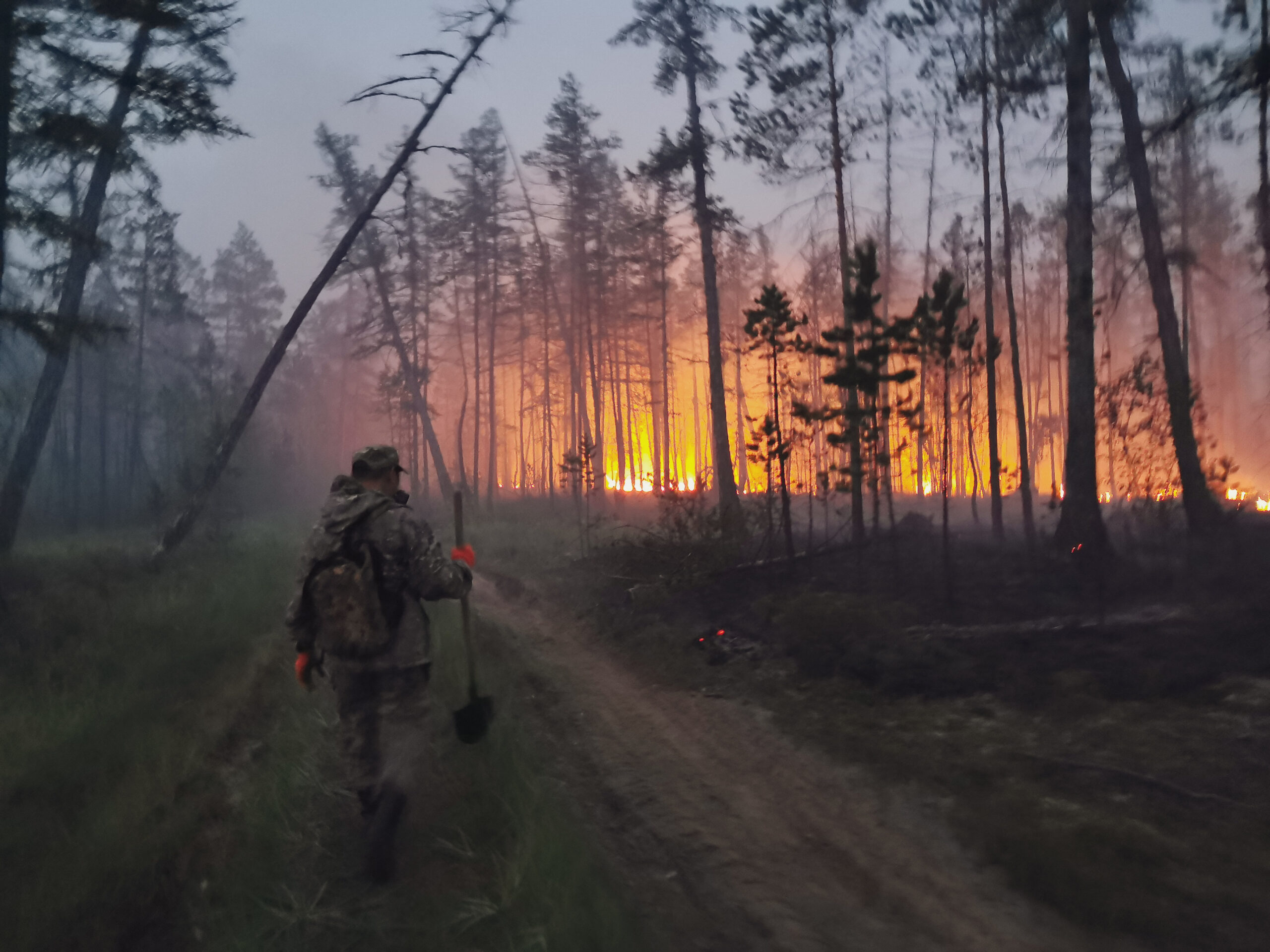 Massive fires engulf Siberia amid record heat wave